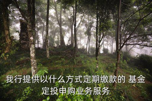 我行提供以什么方式定期繳款的 基金定投申購業(yè)務服務