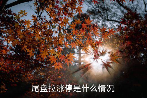 尾盤(pán)拉漲停是什么情況
