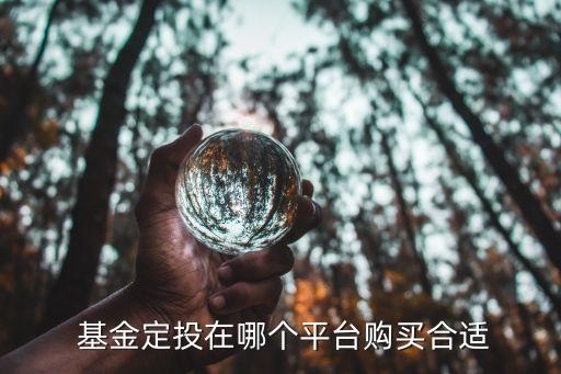  基金定投在哪個(gè)平臺(tái)購(gòu)買(mǎi)合適