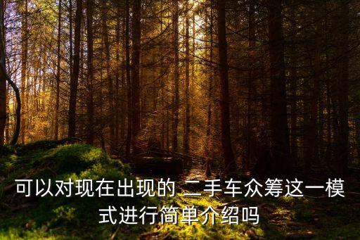 可以對現(xiàn)在出現(xiàn)的 二手車眾籌這一模式進行簡單介紹嗎