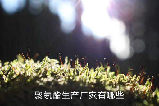 聚氨酯生產廠家有哪些