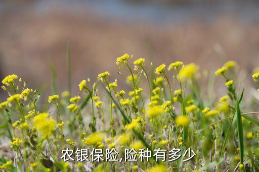 銀行保險(xiǎn)產(chǎn)品有哪些,買(mǎi)銀行保險(xiǎn)產(chǎn)品有風(fēng)險(xiǎn)嗎
