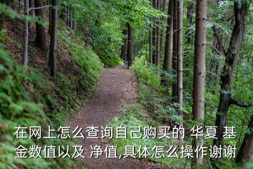 在網(wǎng)上怎么查詢(xún)自己購(gòu)買(mǎi)的 華夏 基金數(shù)值以及 凈值,具體怎么操作謝謝