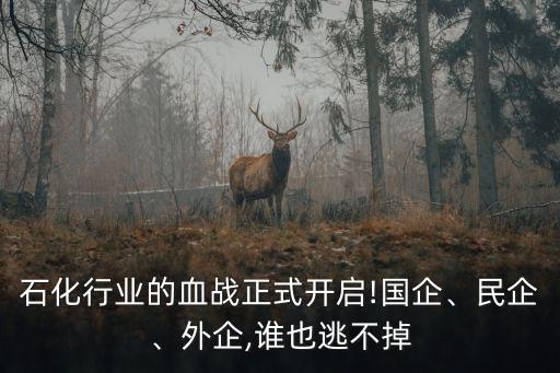 石化行業(yè)的血戰(zhàn)正式開啟!國企、民企、外企,誰也逃不掉