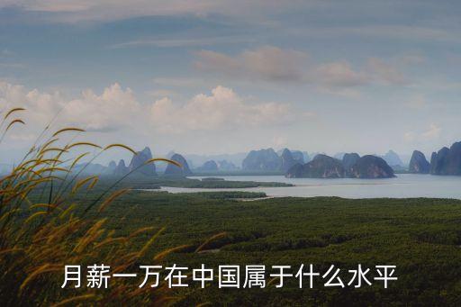 月薪一萬(wàn)在中國(guó)屬于什么水平