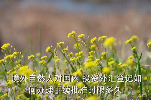  境外自然人對國內(nèi) 投資外匯登記如何辦理手續(xù)批準(zhǔn)時(shí)限多久