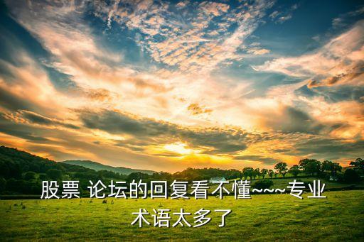  股票 論壇的回復看不懂~~~專業(yè)術語太多了