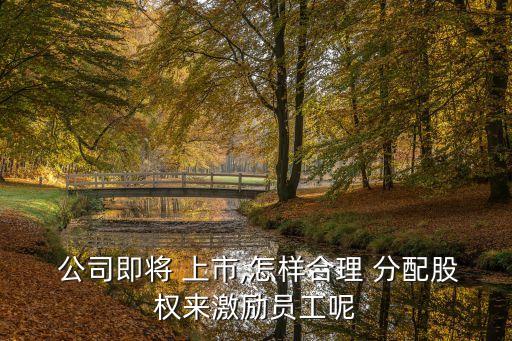  公司即將 上市,怎樣合理 分配股權來激勵員工呢