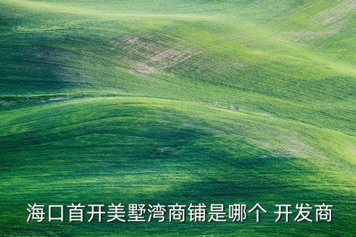  ?？谑组_美墅灣商鋪是哪個 開發(fā)商