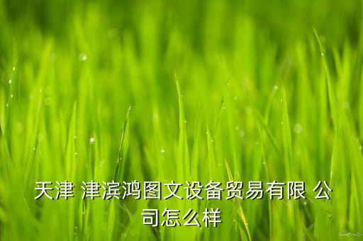 天津津?yàn)I有限責(zé)任公司,天津渤?；ぜ瘓F(tuán)有限責(zé)任公司