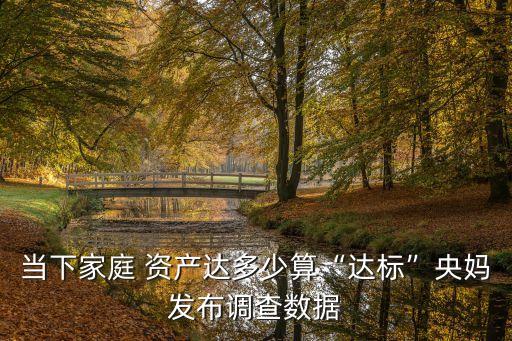 上海戶均資產