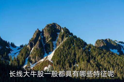長(zhǎng)線大牛股一般都具有哪些特征呢