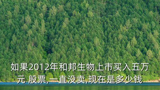 和邦股票怎么樣能不能買,社?；鹳I的股票怎么樣