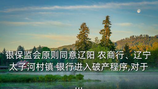 銀保監(jiān)會原則同意遼陽 農(nóng)商行、遼寧太子河村鎮(zhèn) 銀行進入破產(chǎn)程序,對于...