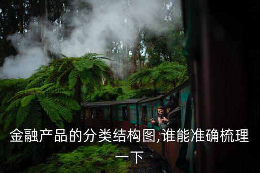 金融產(chǎn)品的分類結構圖,誰能準確梳理一下