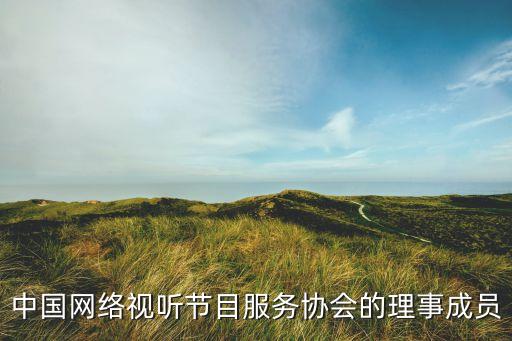 中國(guó)網(wǎng)絡(luò)視聽節(jié)目服務(wù)協(xié)會(huì)的理事成員