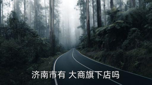 濟南市有 大商旗下店嗎