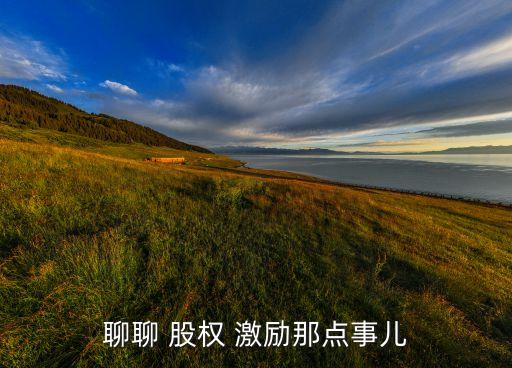 創(chuàng)業(yè)公司股權激勵案例,創(chuàng)業(yè)版股權激勵制度