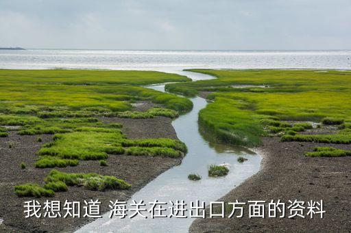 我想知道 海關(guān)在進出口方面的資料