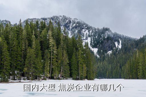 國內大型 焦炭企業(yè)有哪幾個