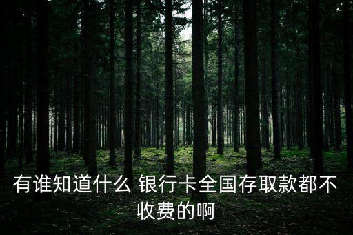 哪個銀行不要手續(xù)費(fèi)