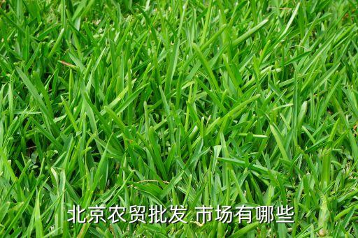 農(nóng)產(chǎn)品開拓北京市場(chǎng)