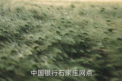  中國(guó)銀行石家莊網(wǎng)點(diǎn)