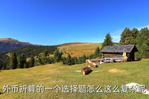 實質(zhì)上構成對子公司凈投資的其他項目余額