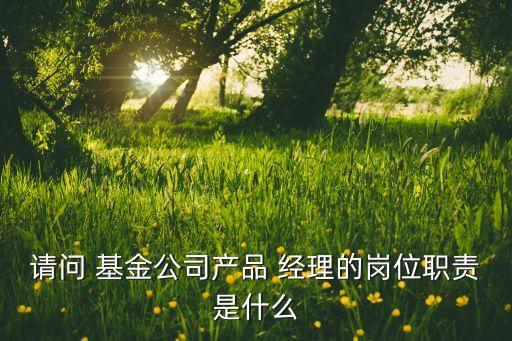 請問 基金公司產(chǎn)品 經(jīng)理的崗位職責是什么