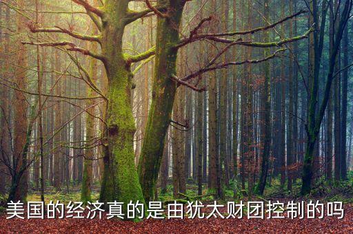 美國的經(jīng)濟(jì)真的是由猶太財(cái)團(tuán)控制的嗎