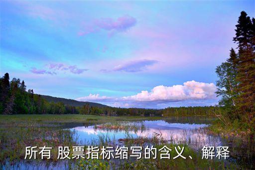 所有 股票指標(biāo)縮寫的含義、解釋