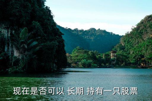 現(xiàn)在是否可以 長(zhǎng)期 持有一只股票