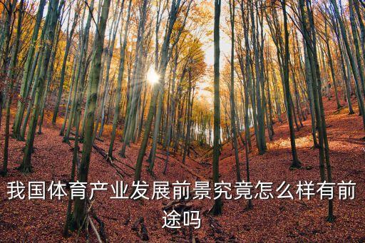 我國體育產業(yè)發(fā)展前景究竟怎么樣有前途嗎