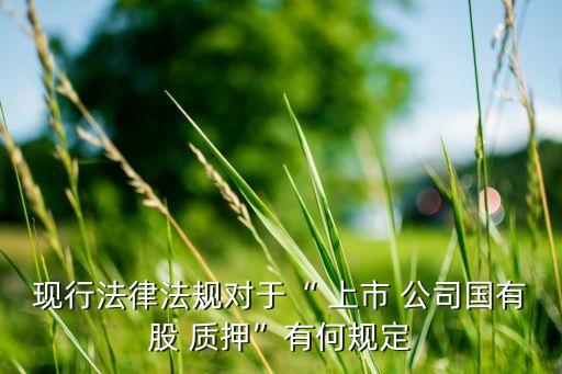 現行法律法規(guī)對于“ 上市 公司國有股 質押”有何規(guī)定