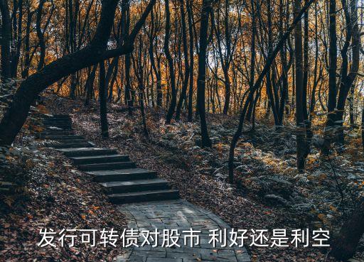  發(fā)行可轉(zhuǎn)債對(duì)股市 利好還是利空
