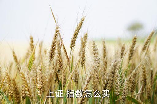 股票指數(shù)即時買賣規(guī)則,投資者買賣行為與股票指數(shù)的關(guān)系
