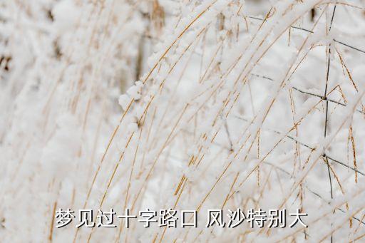 夢見過十字路口 風沙特別大