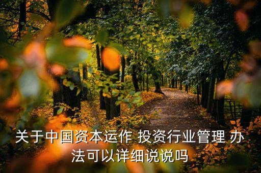 關(guān)于中國資本運作 投資行業(yè)管理 辦法可以詳細說說嗎