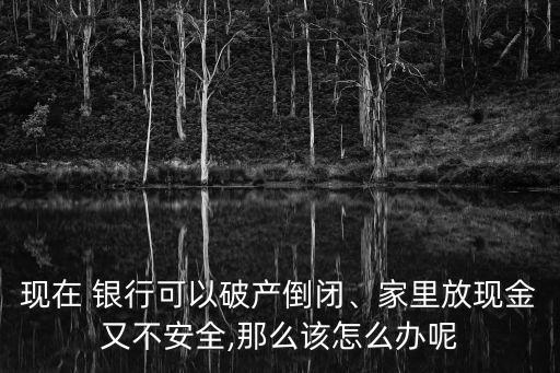 現(xiàn)在 銀行可以破產(chǎn)倒閉、家里放現(xiàn)金又不安全,那么該怎么辦呢
