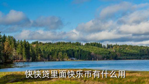 上?？炜熨J,快快貸最新消息