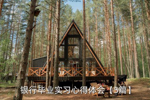 新入銀行大學生總結,入職銀行一年的成長總結