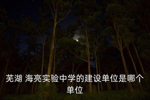蕪湖 海亮實驗中學的建設單位是哪個單位