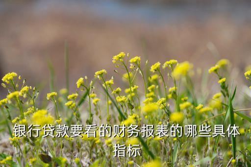 銀行各大指標(biāo)說(shuō)明,銀行指標(biāo)未完成情況說(shuō)明