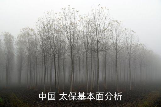 中國(guó) 太?；久娣治? class=
