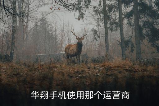  華翔手機使用那個運營商