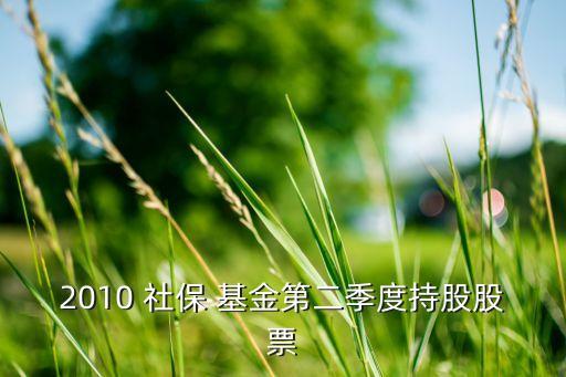 社保基金一零七組合,全國社?；鸾M合