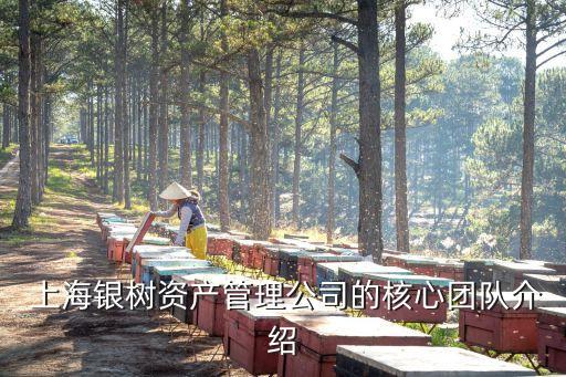  上海銀樹資產(chǎn)管理公司的核心團(tuán)隊介紹