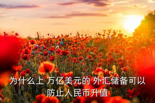 為什么上 萬(wàn)億美元的 外匯儲(chǔ)備可以防止人民幣升值