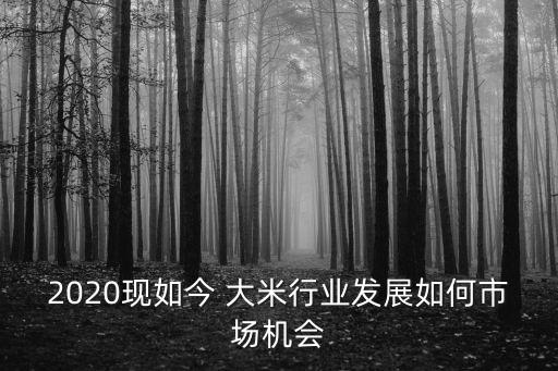2020現(xiàn)如今 大米行業(yè)發(fā)展如何市場機(jī)會
