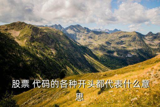  股票 代碼的各種開(kāi)頭都代表什么意思